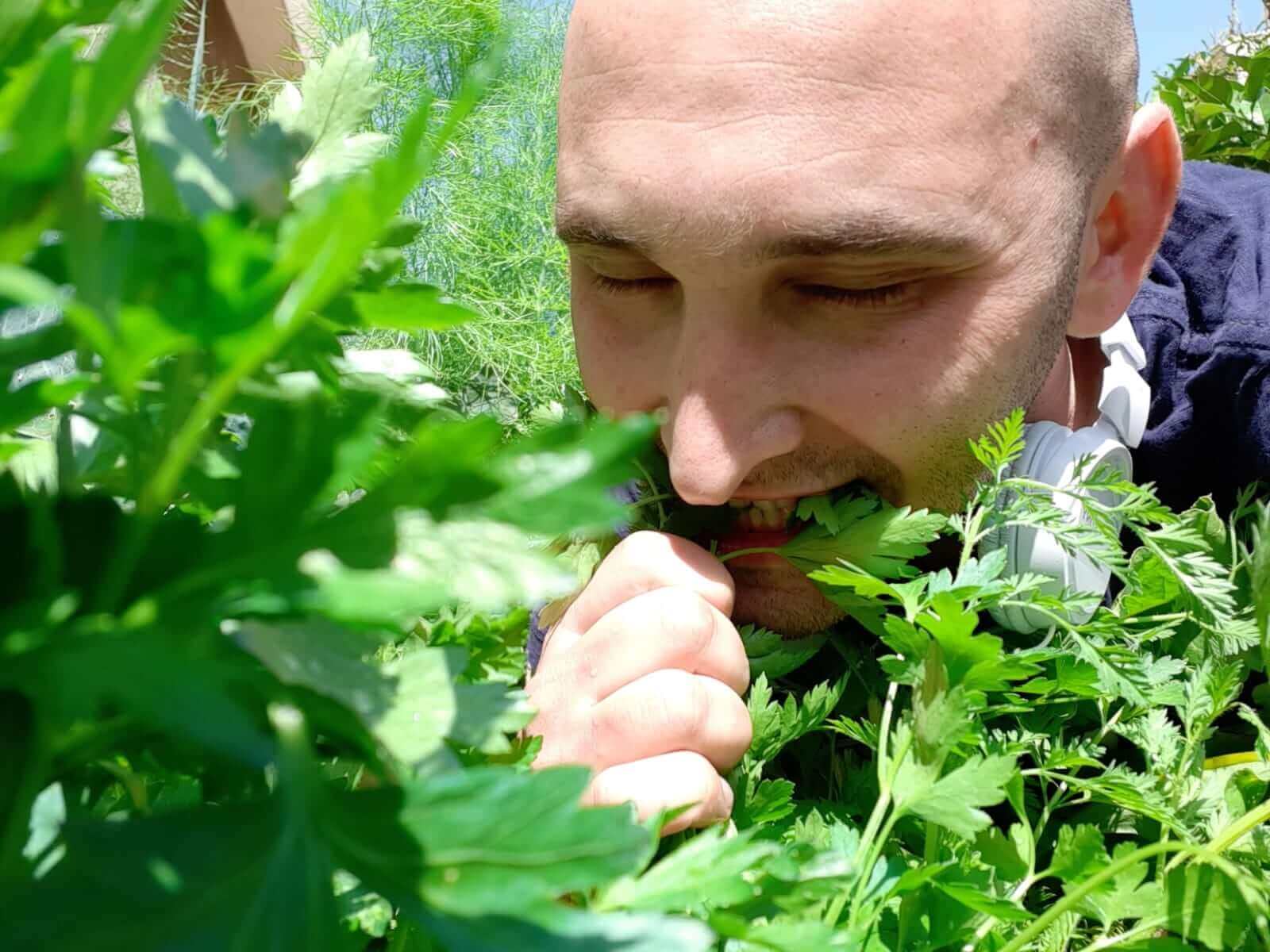 עושים אהבה במטבח תזונה עונתית, חיבור לטבע, תזונה מקומית