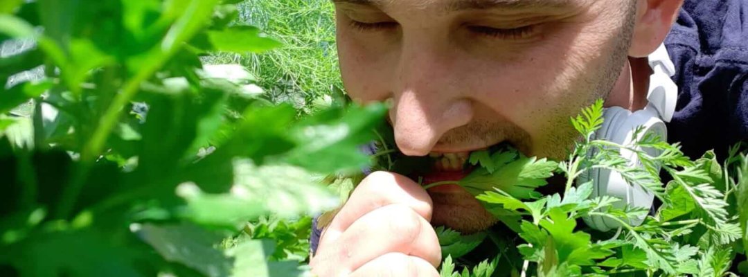 תזונה עונתית, חיבור לטבע, תזונה מקומית