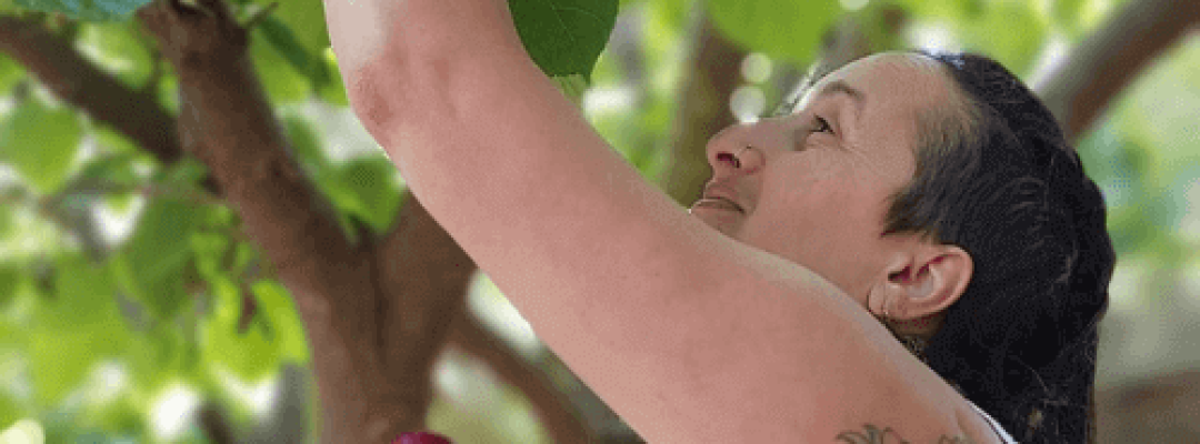 עיצוב-ללא-שם-1-1